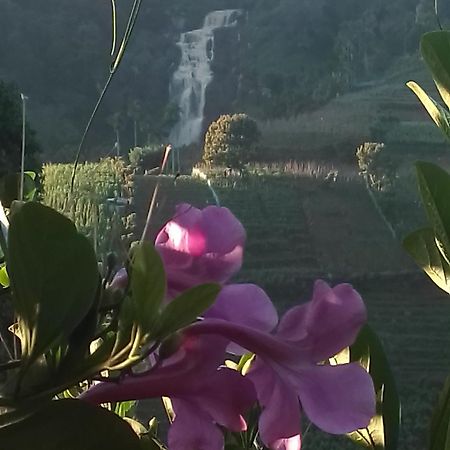 Cascade Vally 엘라 외부 사진