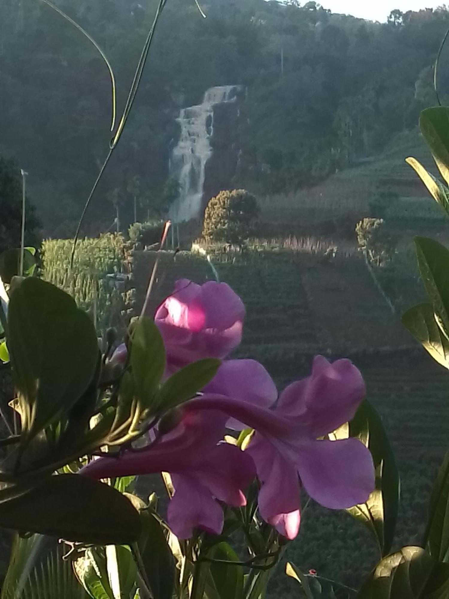 Cascade Vally 엘라 외부 사진